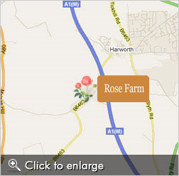 Rose Farm Map